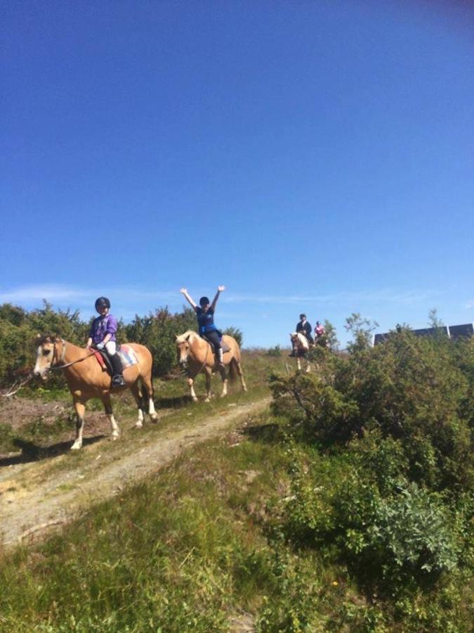 Tinden * Hemsedal